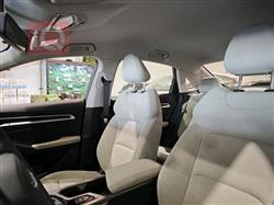 جيلي امجراند